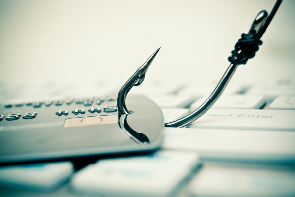 Мошенники ушли в Сеть