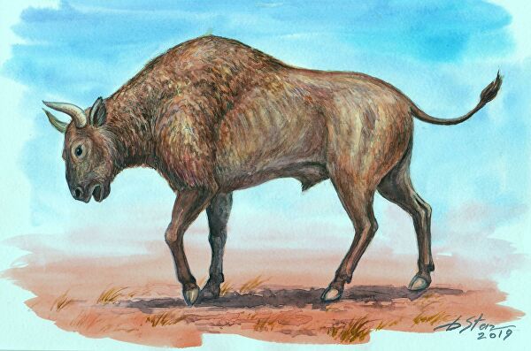 Ученые выяснили, каким животным принадлежат кости в пещере Таврида