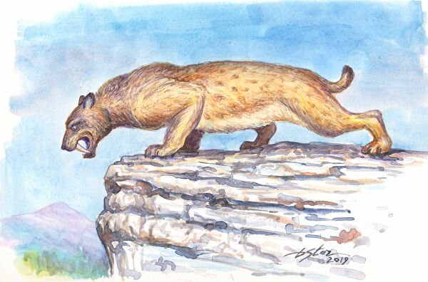 Ученые выяснили, каким животным принадлежат кости в пещере Таврида