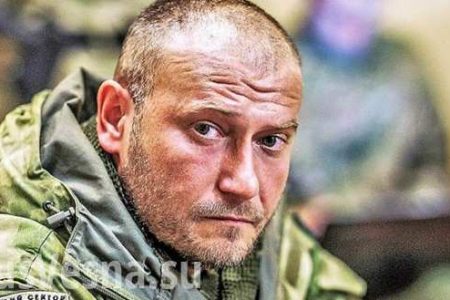 Ярош заявил о грозящей Украине международной «сатанинской гомодиктатуре»