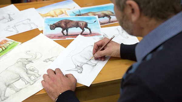 Ученые выяснили, каким животным принадлежат кости в пещере Таврида