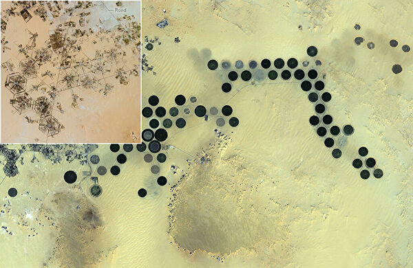 Лучшие друзья спутника. Кто создает таинственные фигуры на земле