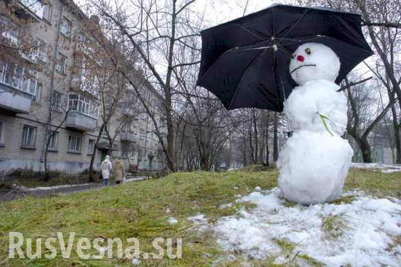 Выше нормы на 20 градусов: европейская «жара» дошла до Сибири