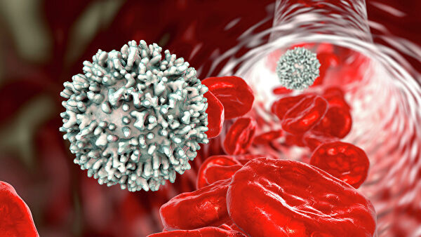 Низкий уровень лимфоцитов в крови указывает на повышенный риск смерти
