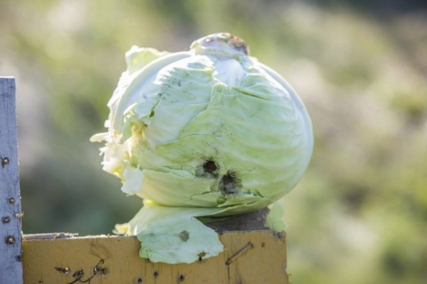 Никогда не бегай от снайпера&hellip;