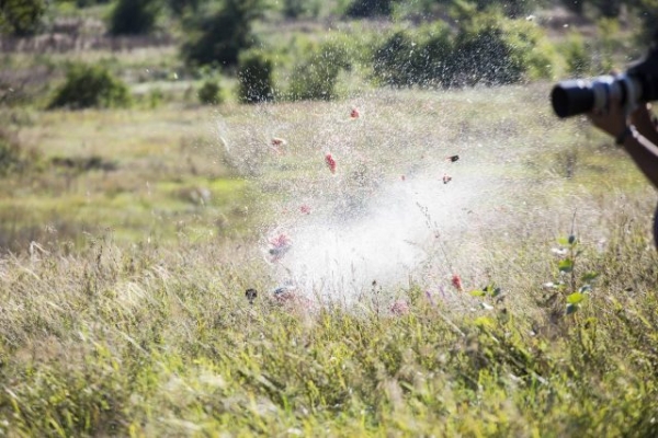 Никогда не бегай от снайпера&hellip;