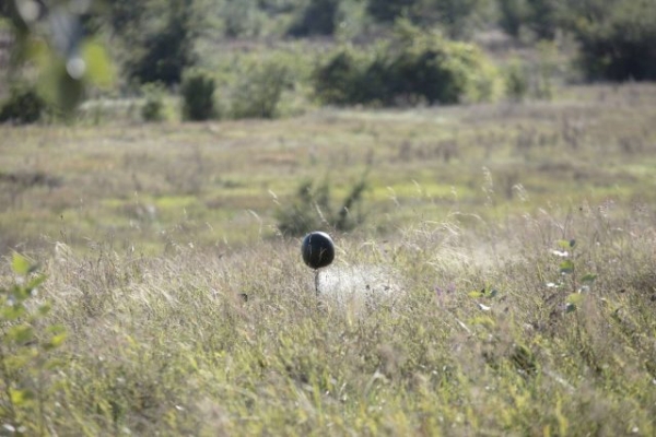 Никогда не бегай от снайпера&hellip;
