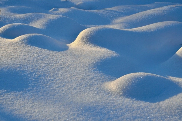 В Грузии при сходе лавины погиб турист из России В Грузии при сходе лавины погиб турист из России