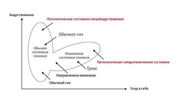 В отключке. Что происходит с мозгом йогов и шаманов