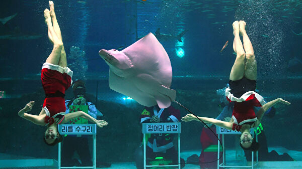 Калуга получила статус "Новогодней столицы России" — 2020