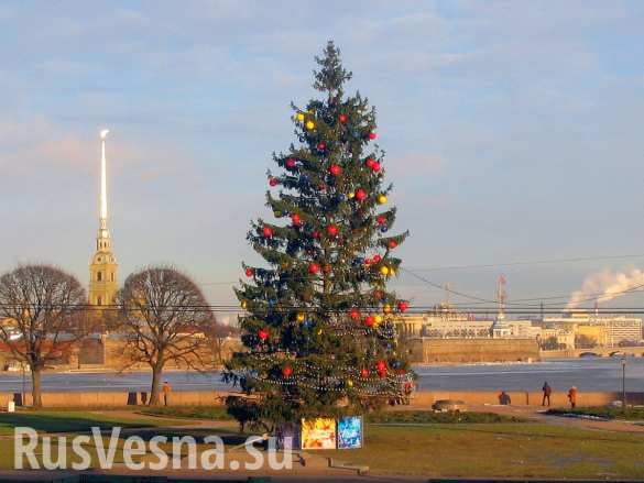 Уничтожение комаров: что ещё принесёт бесснежная зима Уничтожение комаров: что ещё принесёт бесснежная зима