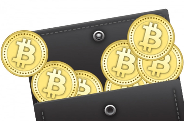 Исследование: количество хранящих биткойны кошельков постоянно увеличивается