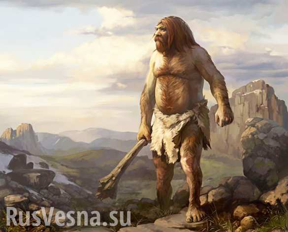 «Я здесь главный!» — поляк напал на российский грузовик (ФОТО, ВИДЕО)