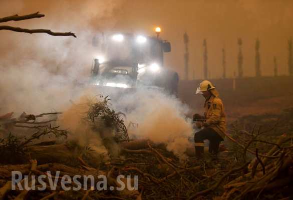 Чудовищные пожары: дым виден из космоса, миллиард животных погиб в Австралии (ФОТО, ВИДЕО)