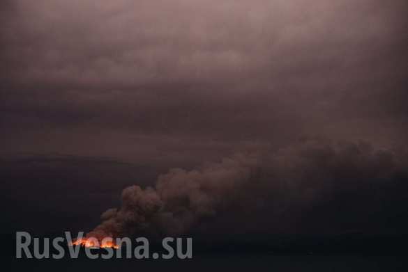 Чудовищные пожары: дым виден из космоса, миллиард животных погиб в Австралии (ФОТО, ВИДЕО)