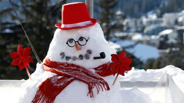 Финский эколог рассказал о последствиях зимы без снега