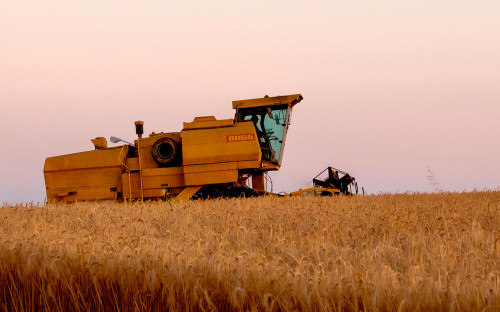 Агрохолдинг миллионера из списка Forbes начал IPO в Сингапуре :: Бизнес :: РБК