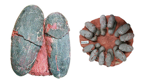 Цирк устроили. Ученые выяснили, какими на самом деле были динозавры