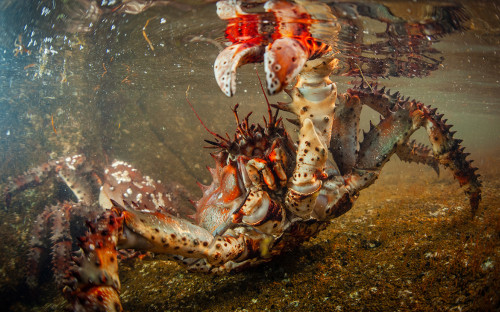 Более 400 компаний заявили о негативном влиянии коронавируса на прибыль :: Бизнес :: РБК