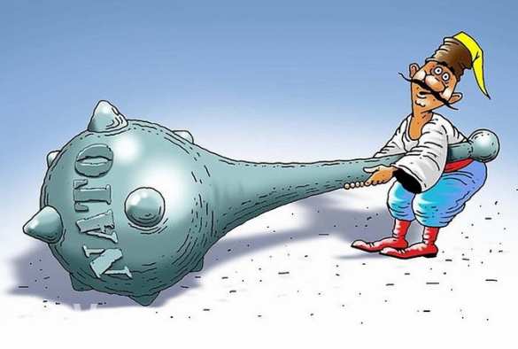 &laquo;Зачем вам эта Америка?&raquo; &mdash; российский политик обратился к украинцам (ВИДЕО)