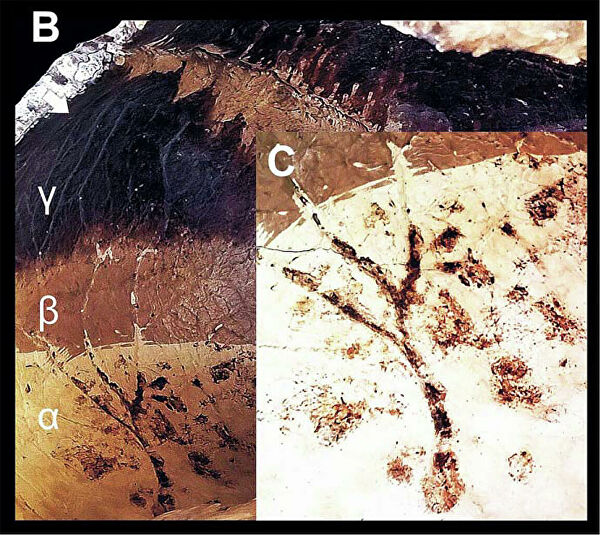 Гнев Везувия. От чего на самом деле погибли жители Помпей