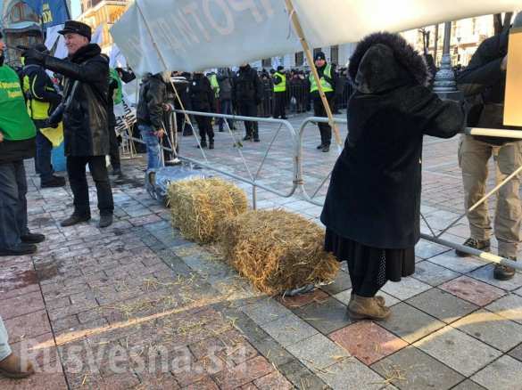 «Слугам народа» принесли золотой унитаз: протесты у Рады и Офиса Зеленского (ФОТО, ВИДЕО)