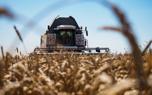 Швейцарский суд заморозил счета зернового терминала в Тамани :: Бизнес :: РБК
