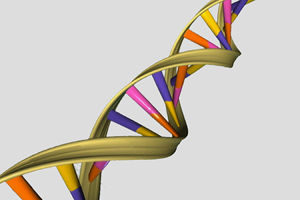 Назван способ борьбы с&nbsp;опасным для жизни старением