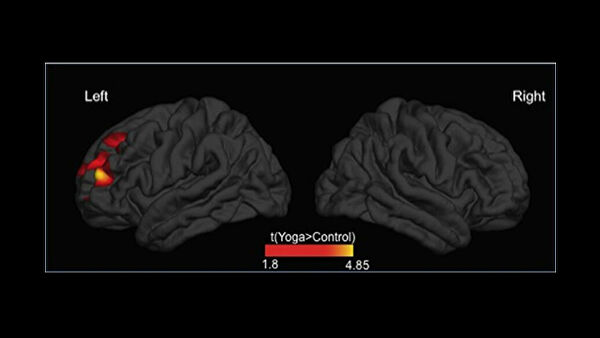 Накачать мозги. Четыре научно обоснованных способа стать умнее