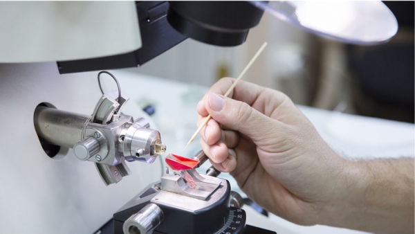 Найден способ снизить токсичность загрязненных почв