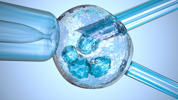 Из незрелой замороженной яйцеклетки впервые родился здоровый ребенок Из незрелой замороженной яйцеклетки впервые родился здоровый ребенок