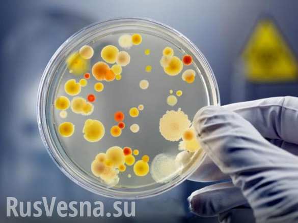 Опасный азарт: сотни посетителей казино в США заразились серьёзной инфекцией Опасный азарт: сотни посетителей казино в США заразились серьёзной инфекцией