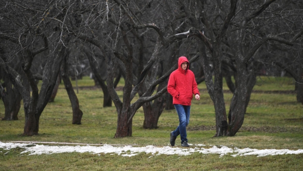 Bloomberg: аномально теплая зима объясняется низким давлением в Арктике