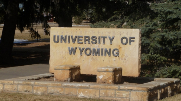 IOHK выделила университету Вайоминга $500 000 в ADA для исследования блокчейна