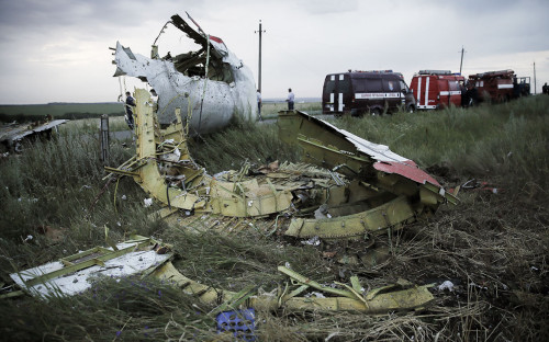 МИД обвинил власти Нидерландов в давлении на суд по делу MH17 МИД обвинил власти Нидерландов в давлении на суд по делу MH17