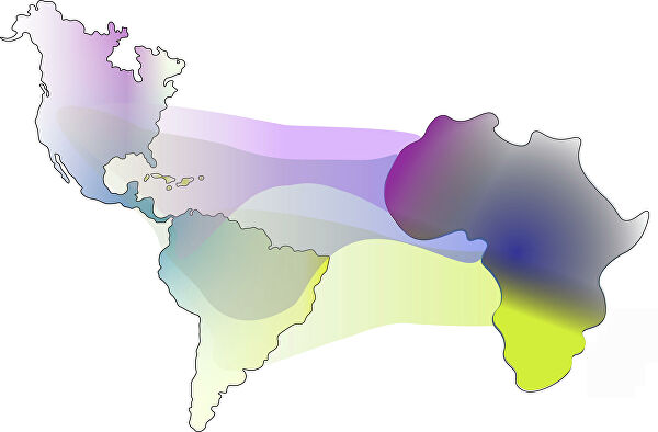 Генетики уточнили происхождение афроамериканцев