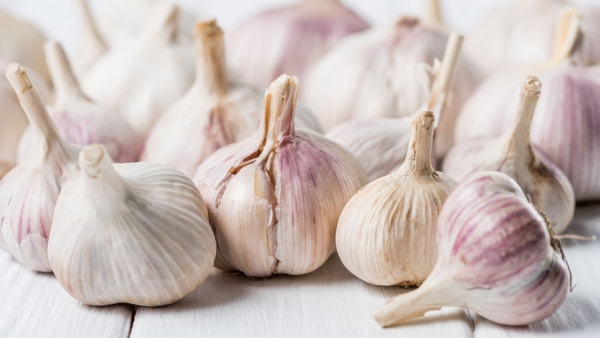 Врач-инфекционист рассказала, для кого вреден чеснок Врач-инфекционист рассказала, для кого вреден чеснок