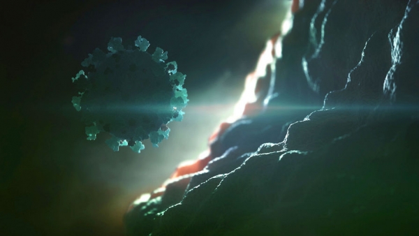 Бразильские ученые расшифровали геном коронавируса Бразильские ученые расшифровали геном коронавируса