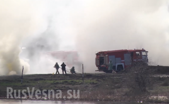 ВСУ провели учения против коронавируса (ФОТО, ВИДЕО) ВСУ провели учения против коронавируса (ФОТО, ВИДЕО)