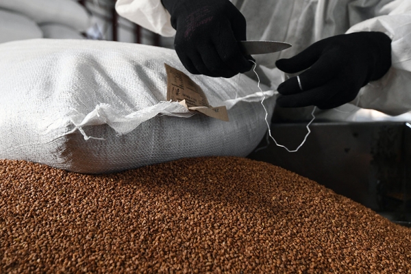 ФАС нашла картель среди производителей гречки ФАС нашла картель среди производителей гречки