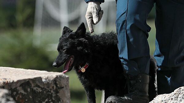 На северо-востоке Москвы нашли предмет, похожий на снаряд На северо-востоке Москвы нашли предмет, похожий на снаряд