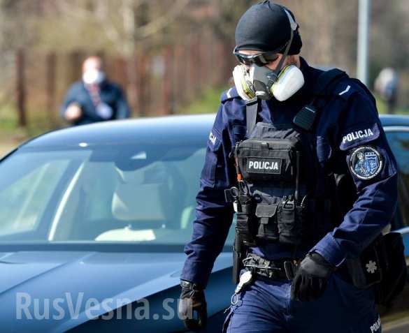 Подтянуть войска и отправить в лагеря: украинцы боятся возвращения домой тысяч заробитчан из Польши (ФОТО, ВИДЕО)