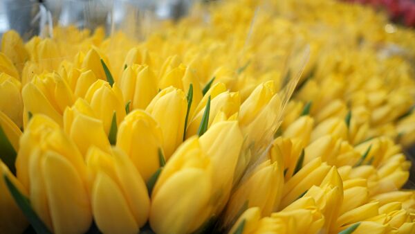 Исследование выяснило, что хотят получить женщины на 8 Марта