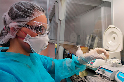 Названы сроки появления вакцины от коронавируса Названы сроки появления вакцины от коронавируса