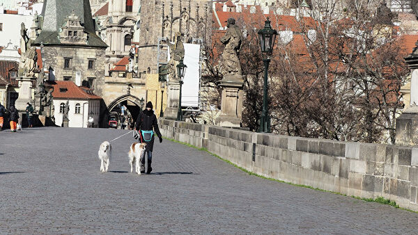 Итальянский врач рассказал, как медик может заразиться коронавирусом