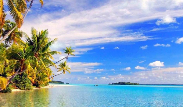 На Гавайях запустят регуляторную &laquo;песочницу&raquo; для криптовалютных компаний