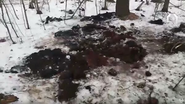 СК огласил предварительные результаты экспертизы останков под Рязанью