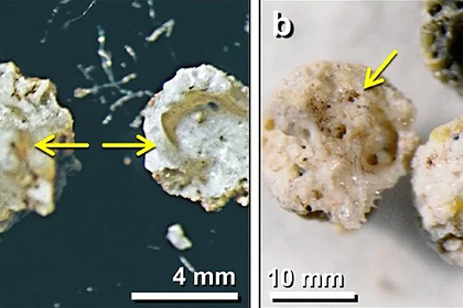 Названа связанная с&nbsp;космосом причина развития человечества