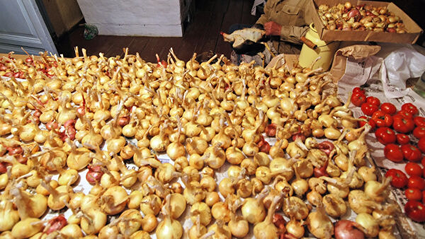 В Индии мужчина стал торговцем луком, чтобы вернуться домой