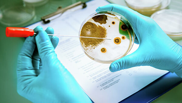 Вирусы вместо антибиотиков. Как бороться с суперинфекциями Вирусы вместо антибиотиков. Как бороться с суперинфекциями